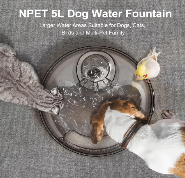 Automatic Pet Water Fountain – Quiet & Filtered