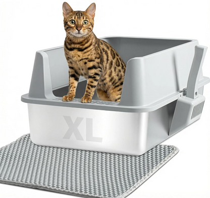 Stainless Steel Cat Litter Box – Durable & Hygienic